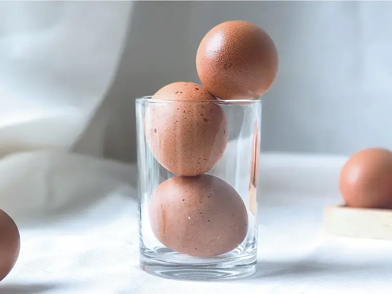 conserver les oeufs