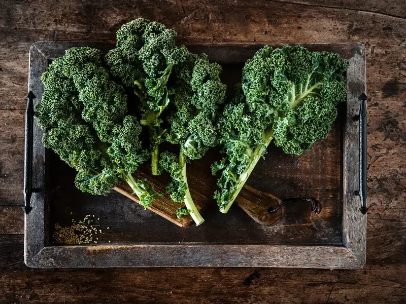 Curly kale (Chou frisé)