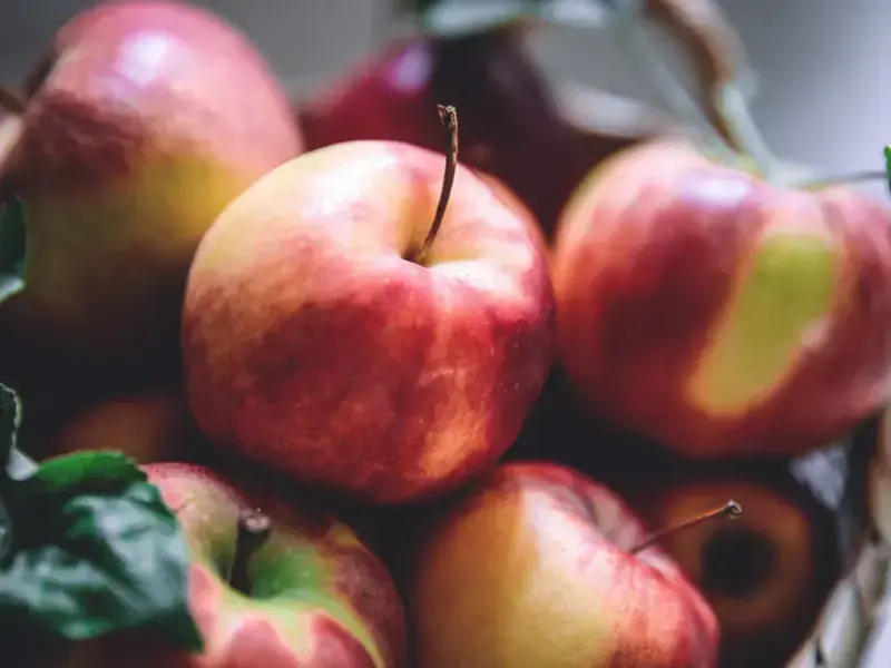 recettes pommes