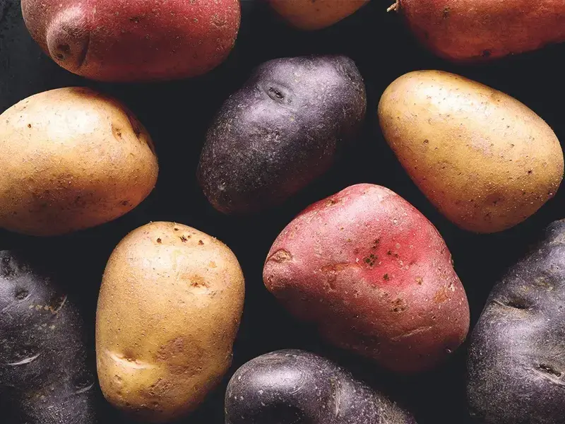 Différence entre pommes de terre et patates douces