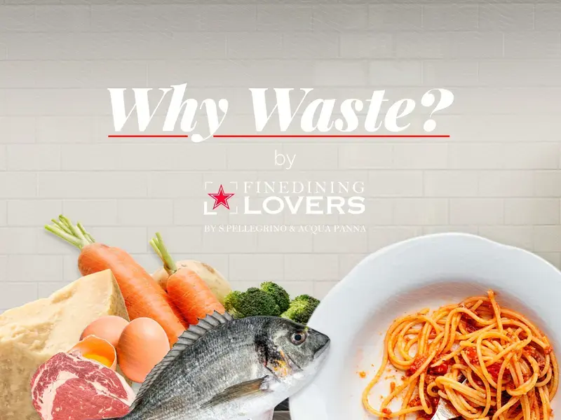 Why Waste ? L'infographie sur le gaspillage-alimentaire