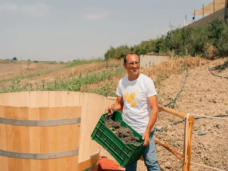 vins siciliens