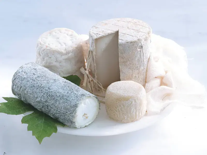 fromages de chèvre