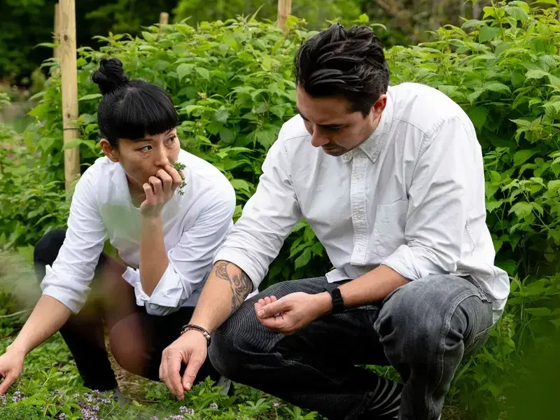 Gil Nogueira et Sakaya Sawaguchi chez Asperatus