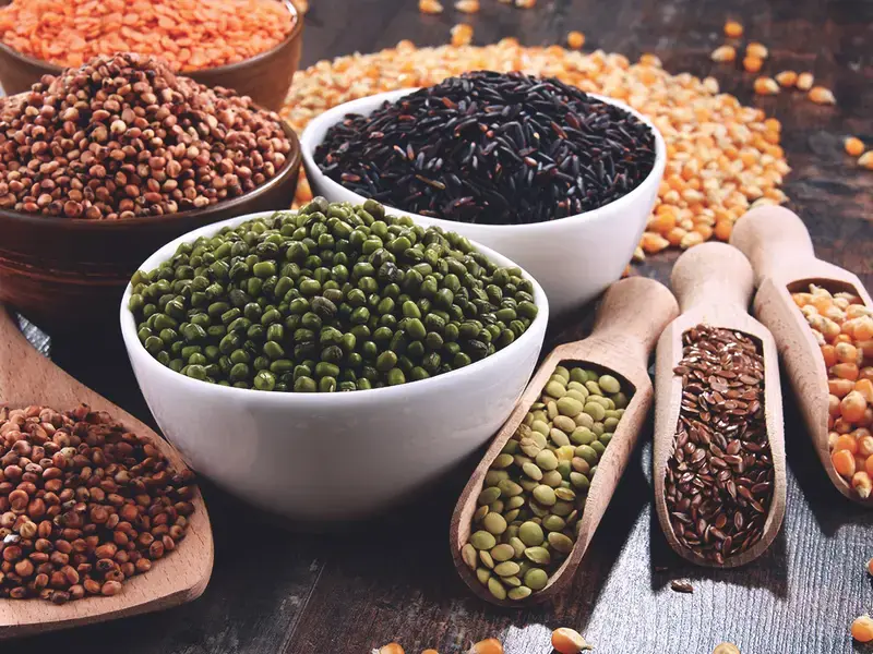 types de lentilles  - Fine Dining Lovers
