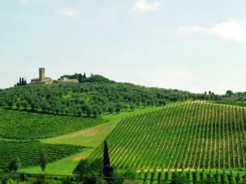Vins italiens : la carte des crus région par région