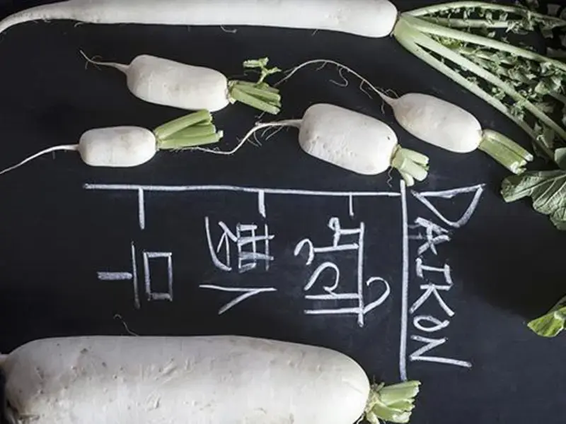 radis blancs sur tableau et inscriptions à la craie en japonais