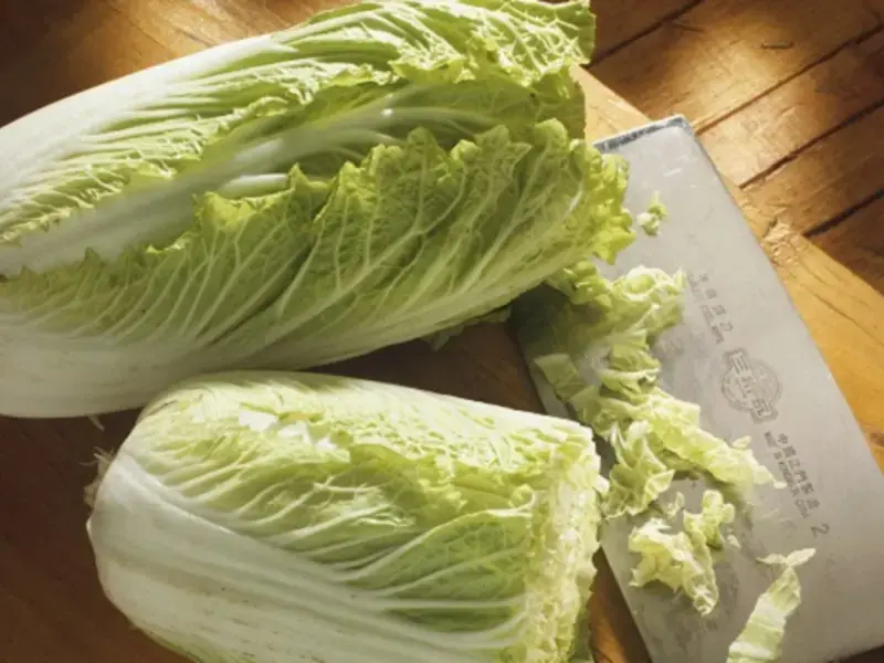 Chou chinois braisé : comment préparer ce mets succulent ?