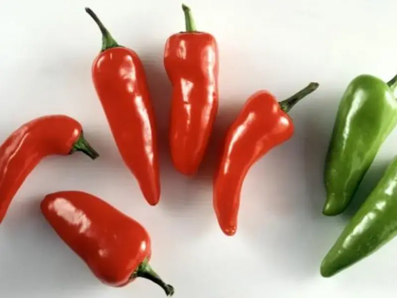 Jalapeño rouge VS jalapeño vert : quelle différence ?