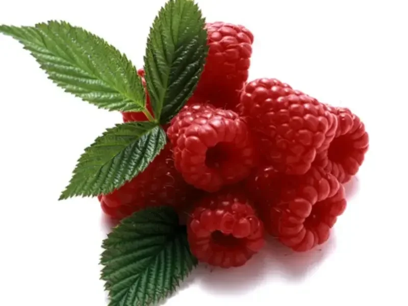 framboises