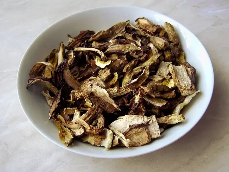 Comment conserver les cèpes : les techniques de conservation