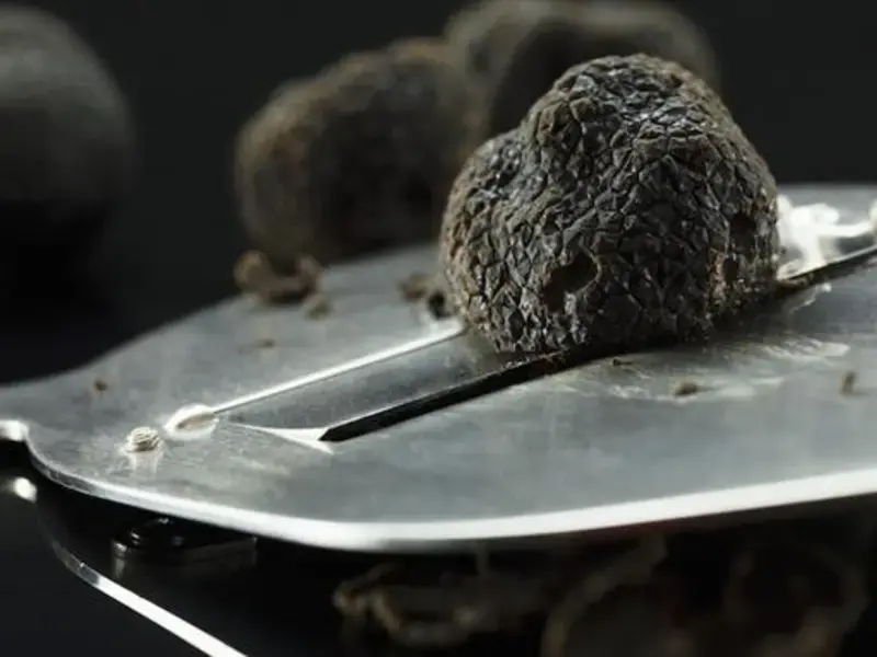 Comment servir la truffe : règles pour apprécier pleinement de le goût de la truffe