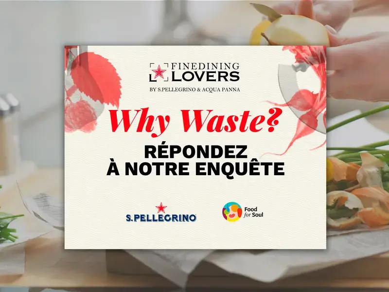 Why Waste ? Pourquoi gaspiller ? Le sondage