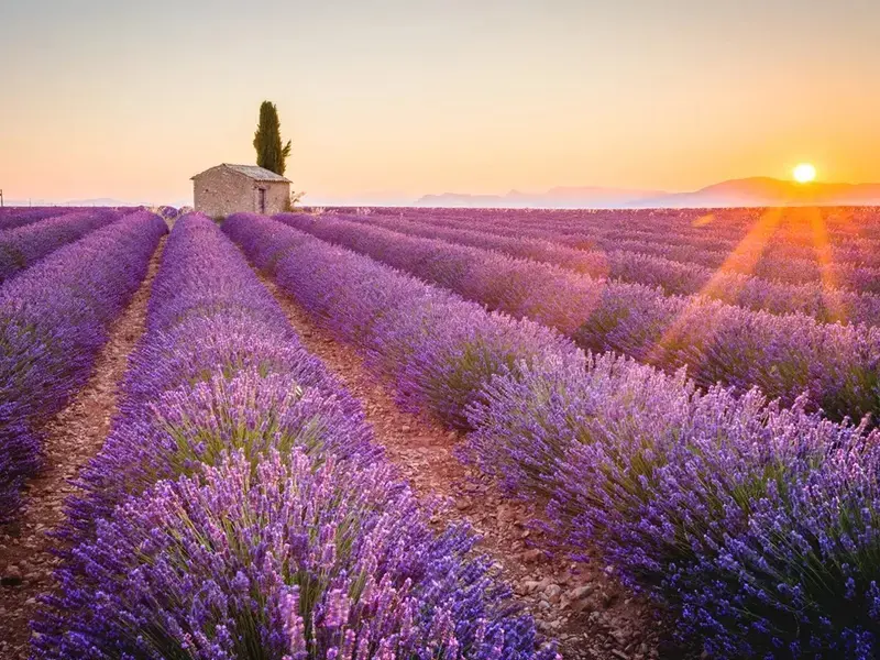 Où manger en Provence ?