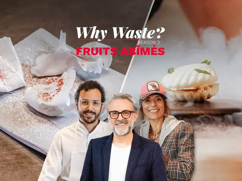 Why Waste ? 2 - Fruits abîmés