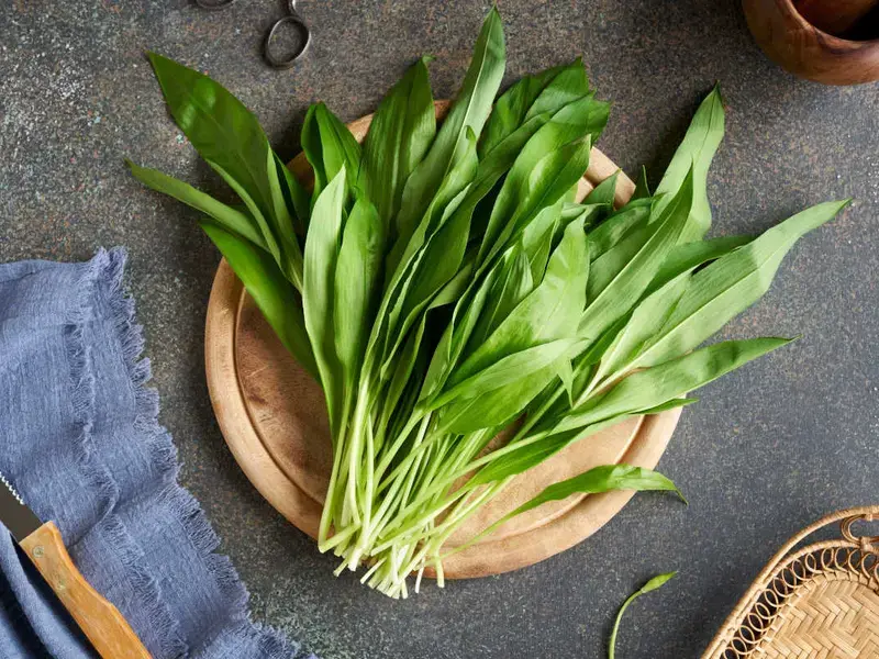 recettes avec ail des ours - Fine Dining Lovers