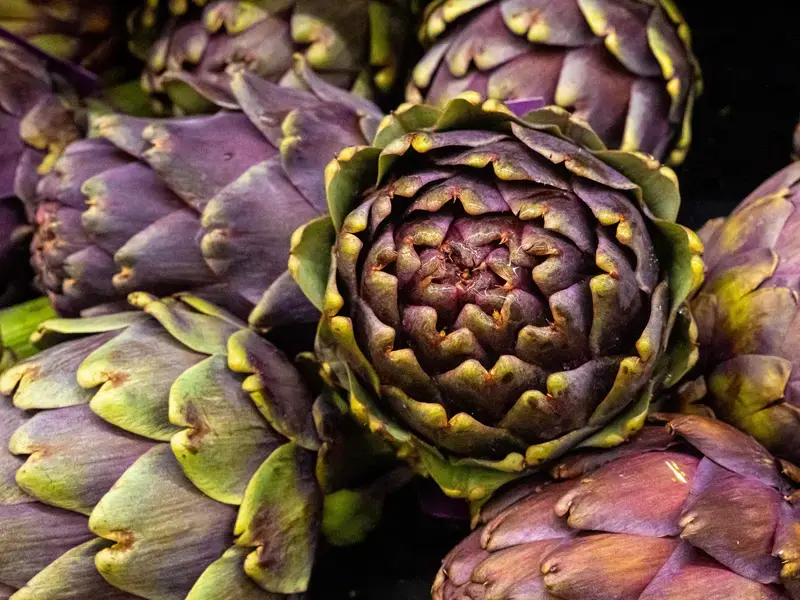 aliments amers - Fine Dining Lovers