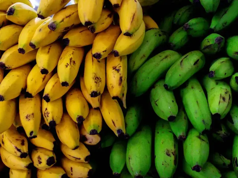 bananes et bananes plantains