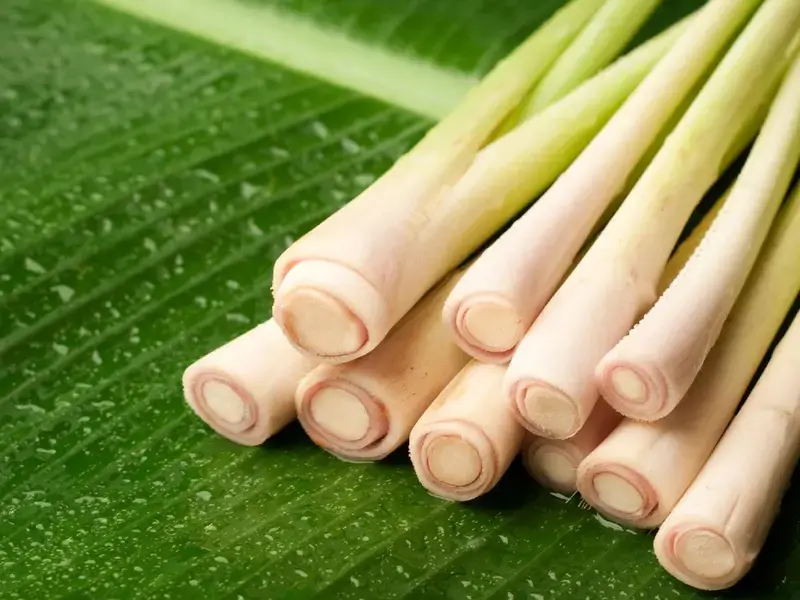 Comment utiliser la citronnelle en cuisine