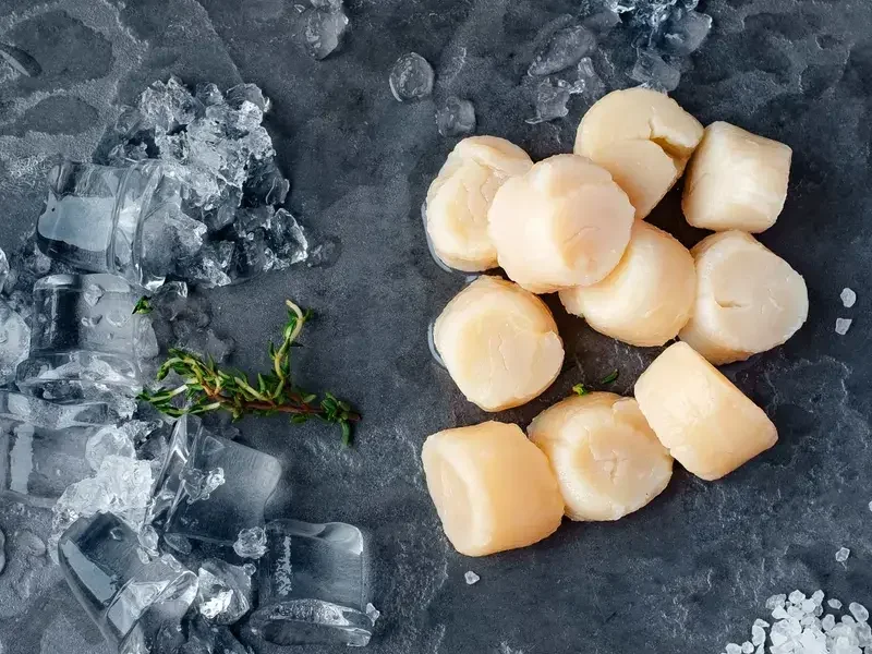 décongeler coquilles Saint-Jacques - Fine Dining Lovers