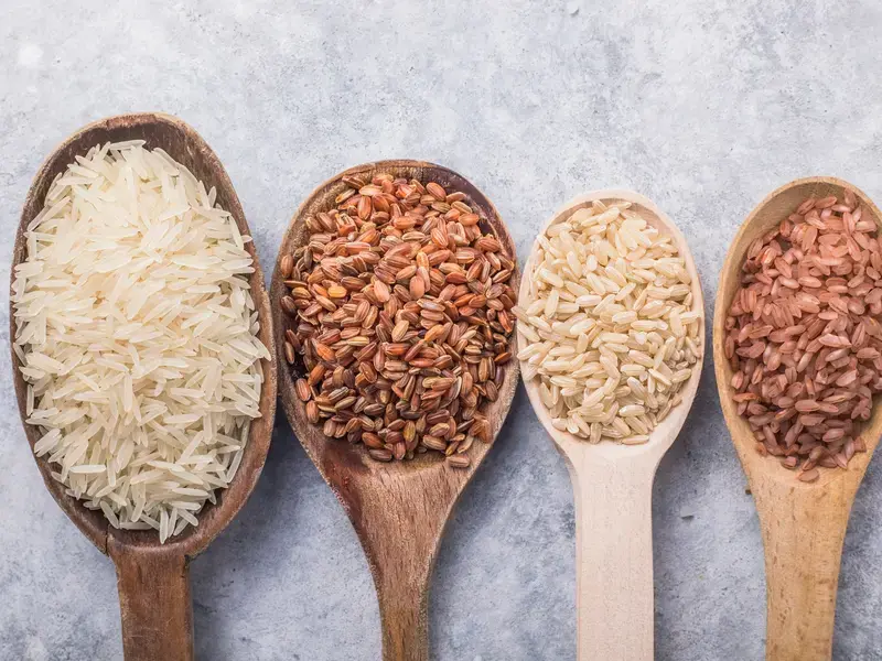 différentes sortes de riz