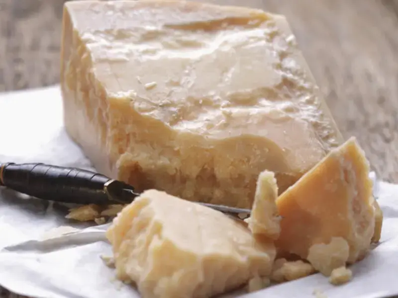 fromages sans lactose