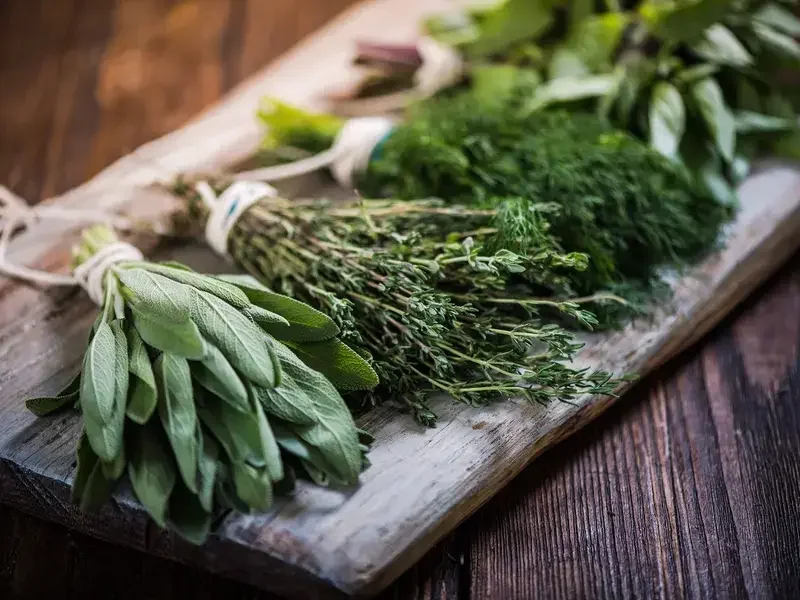 herbes aromatiques
