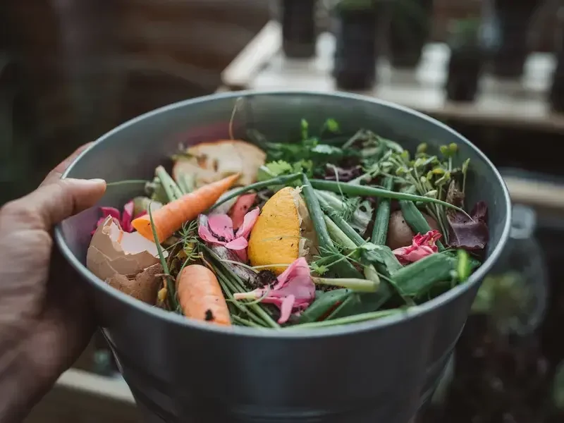 gaspillage alimentaire france