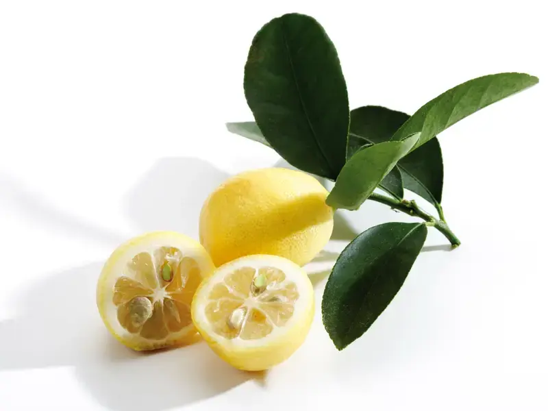 limequat agrume - Fine Dining Lovers