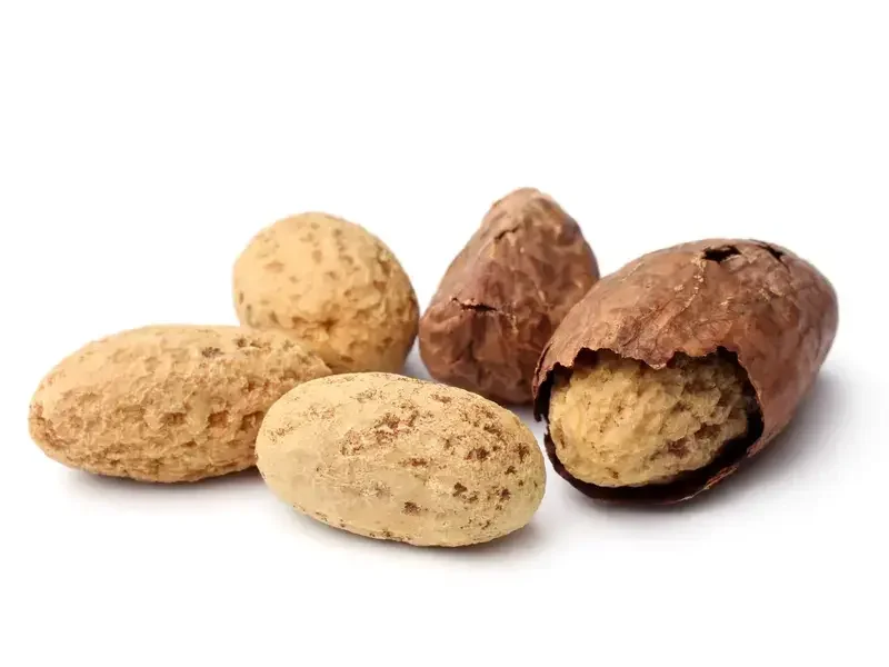 noix de kola ou petit cola