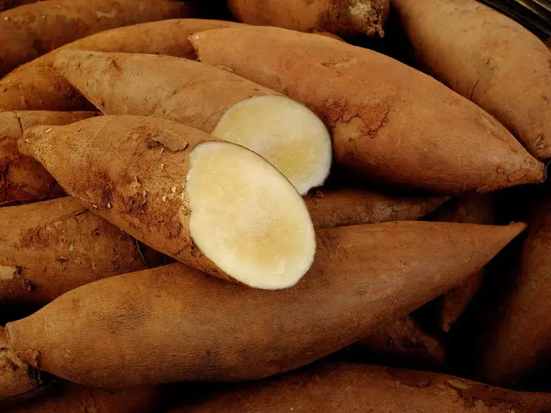 poire de terre