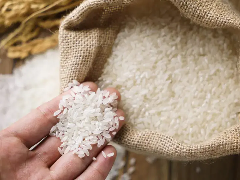 recettes asiatiques riz