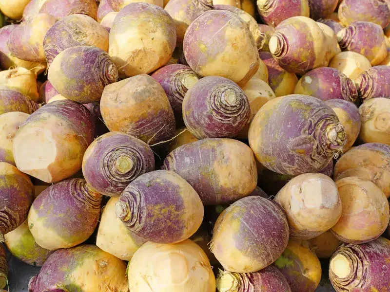 Rutabaga - FineDiningLovers