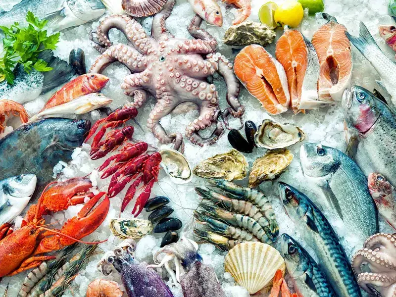 saison des poissons - infographie