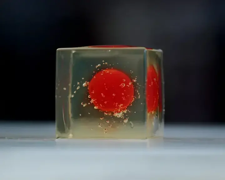 cube tomate