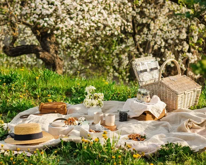 pique nique avec les restes