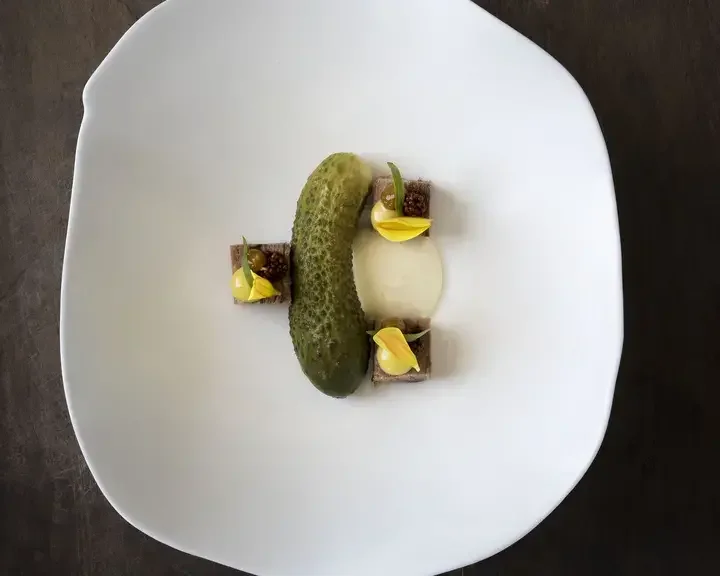 cornichon langue de boeuf david gallienne