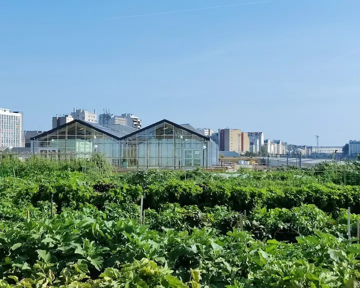 plantation paris