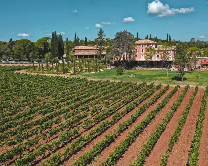 Provence - Domaine Saint-Roux