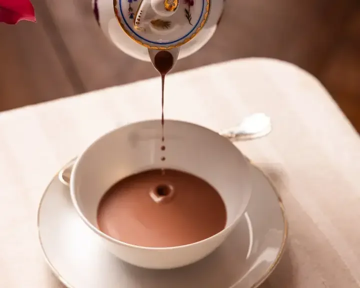 chocolat chaud alain ducasse