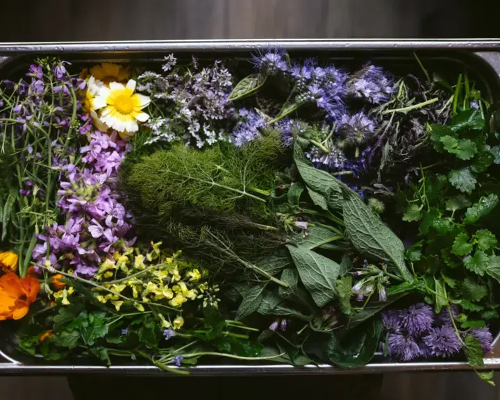fleurs comestibles