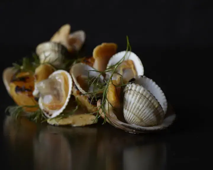 Clémentines grillées, clams et coques par Alexandre Gauthier