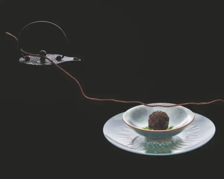 Perdreau, consommé - plat de Kei Kobayashi